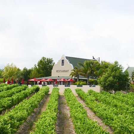 Skilpadvlei Wine Farm Stellenbosch Exterior photo