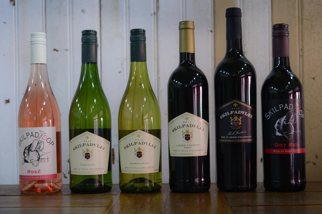 Skilpadvlei Wine Farm Stellenbosch Exterior photo