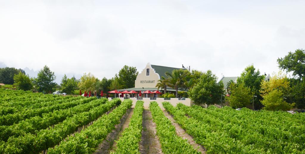 Skilpadvlei Wine Farm Stellenbosch Exterior photo