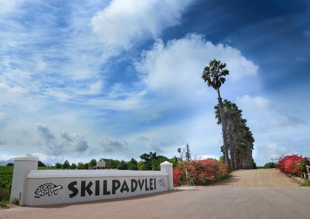 Skilpadvlei Wine Farm Stellenbosch Exterior photo
